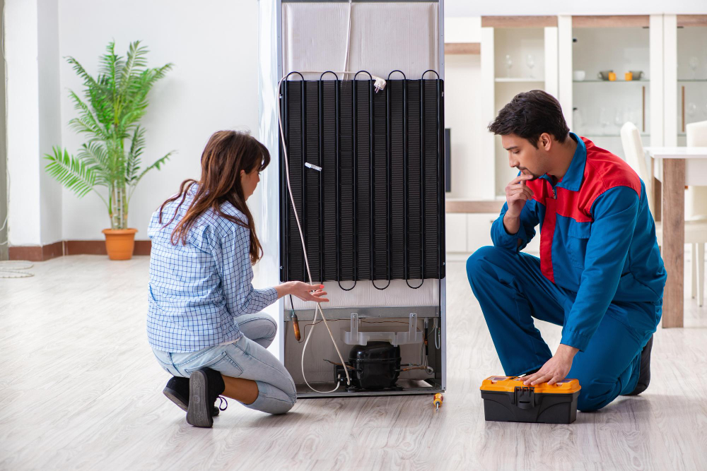 Refrigerator Noises and What to Do About Them